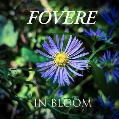 In Bloom - Single