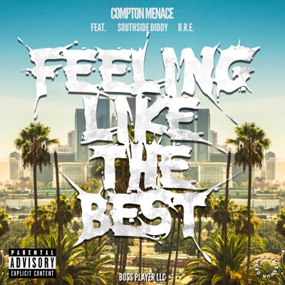 Feeling Like the Best (feat. Southside Diddy & B.R.E.) - Single