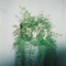 Achim - Samuel Seo lyrics