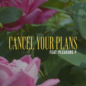 Cancel Your Plans (feat. Pleasure P)