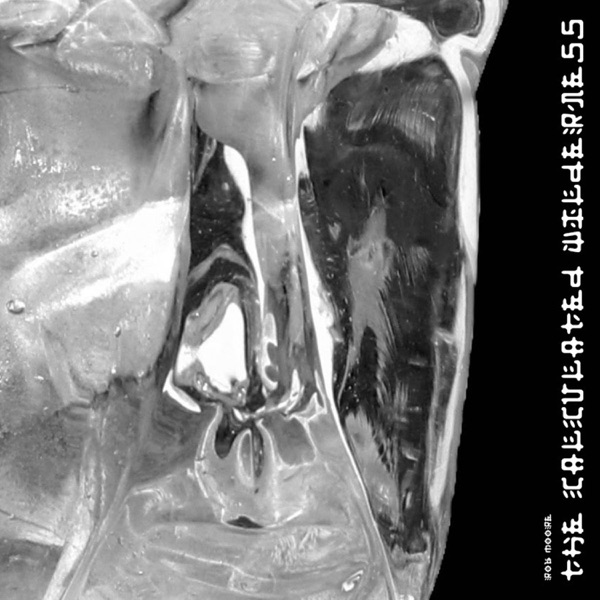The Calculated Wilderness EP I