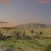 Big Sleep - Two Cents