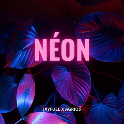 NÉON (feat. Agrios) - Single