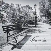 Walking into Love — Nordic Swing