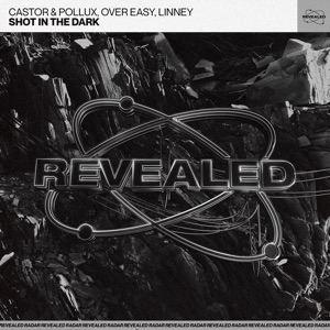 Shot in the Dark (Extended Mix)