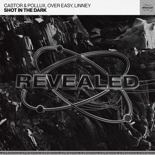 Shot in the Dark - Single