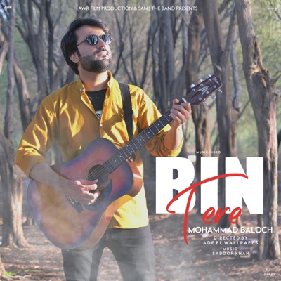Bin Tere - Single