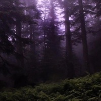 Moonlight - Single - Gomie