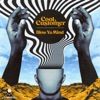 Blow Ya Mind cover art