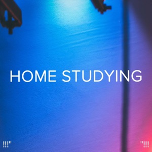 !!!" Home Studying "!!!