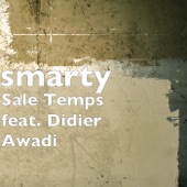 Sale Temps (feat. Didier Awadi) artwork