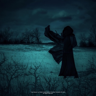 Cold Bones (feat. Timeless Transition) - Single