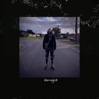 Damaged - Strivesad.