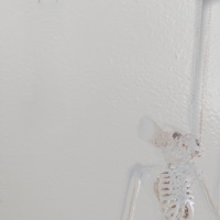 Hazel (feat. Heylog) - Single - xona