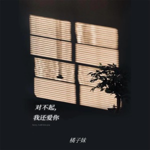 对不起,我还爱你 - Single