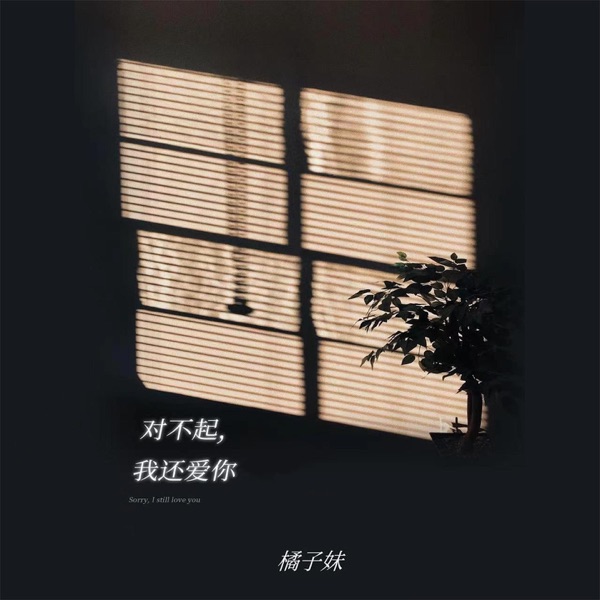 对不起,我还爱你 - Single