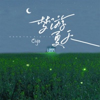 梦游夏天 - Single - Ciyo