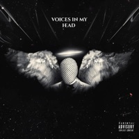 Voices In My Head (feat. IHATEKAYNU) - Single - Babyface Mykie