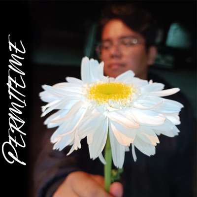 Permiteme (feat. Jersey 272) - Single