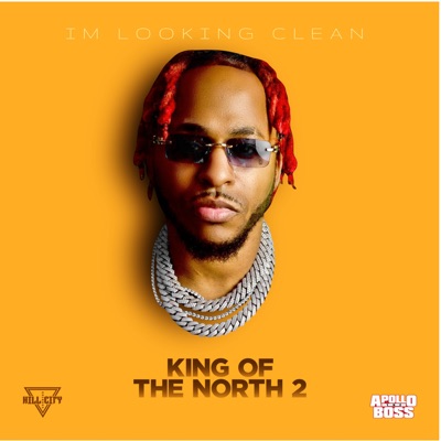 I’m looking Clean - Single