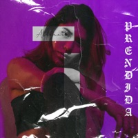 Prendida (feat. Emet Carranza) - Single - BYEGLEZ