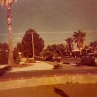 The Archives - EP - backyard beetle