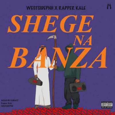 Shege Na Banza - Single