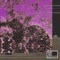 Pluton (zisko Ceremonial Remix) - Rodent lyrics