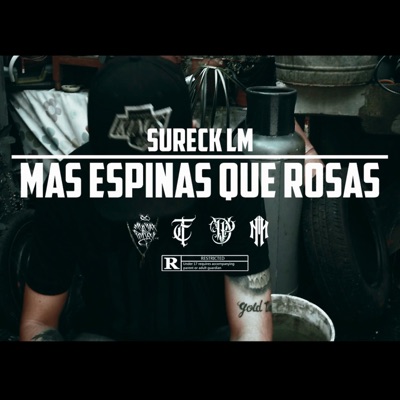 Mas espinas que rosas - Single
