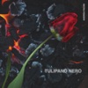 Tulipano Nero - Single