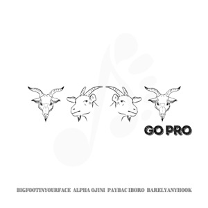 Go Pro (feat. Barelyanyhook, Alpha Ojini & PayBac Iboro)