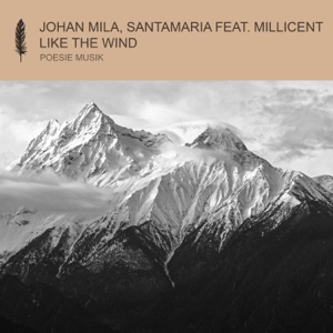 Like the Wind (Extended Mix) [feat. Millicent]