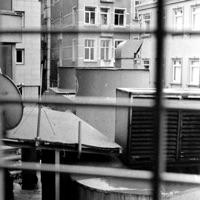 3M - Single - Mosch