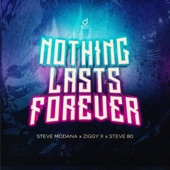 Nothing Lasts Forever (Extended Mix) artwork