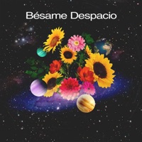 Bésame Despacio - Single - Cuarto Grado & Latin Love