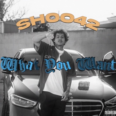 What You Want (feat. Slumpboyz) - Single