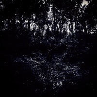 perfect - Single - Dye51\50