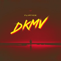 DKMV(Don't kill my vibe) - Single - Fliptyce