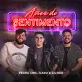 Ápice do Sentimento
