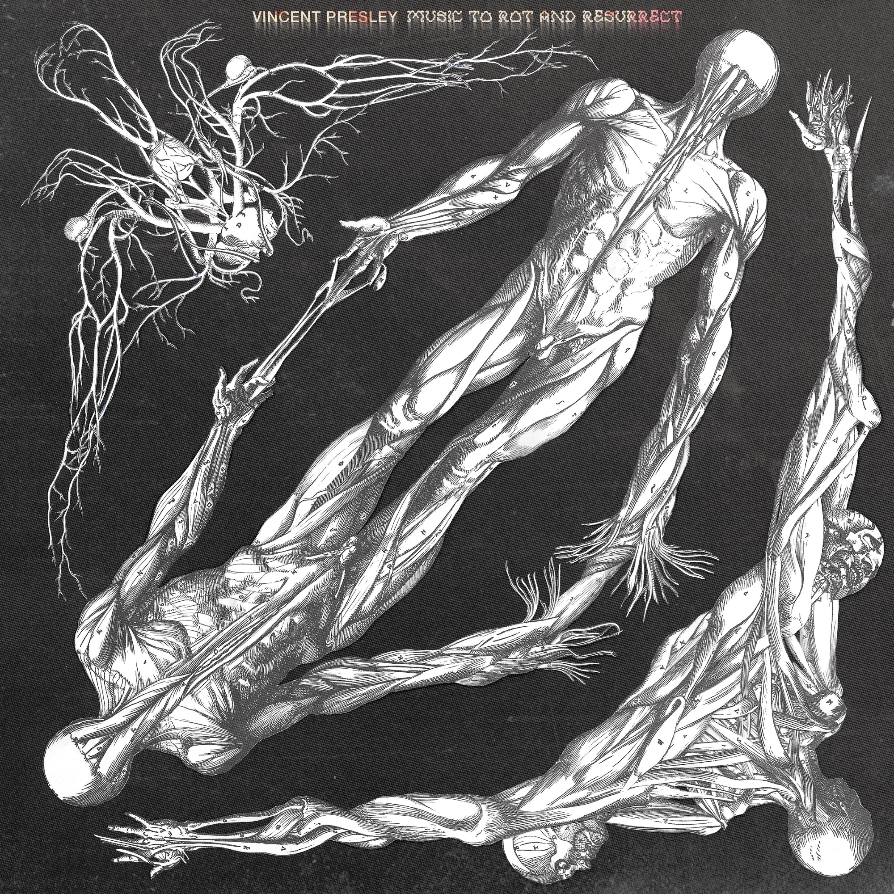 Music To Rot and Resurrect