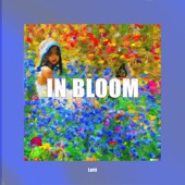 Lotti - In Bloom