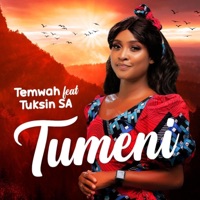Tumeni (feat. TuksinSA) - Single - Temwah