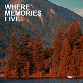 Where Memories Live song art