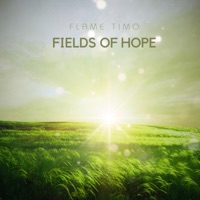 Fields of Hope (feat. MgoldMusic, Sensory Meditation & Matay Music) - Single - Flame Timo