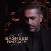 Bagheeb Bmzagy artwork