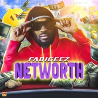 NetWorth - Single - Fabigeez