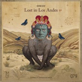 Lost in Los Andes artwork