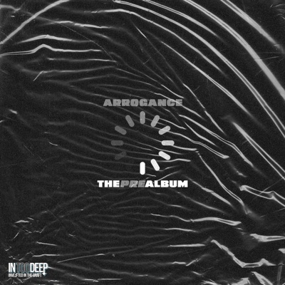 The Pre Album (Radio Edit) - EP