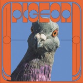 Pigeon - War (Jam)