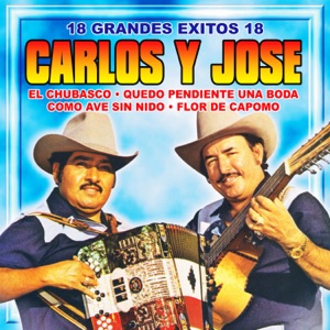 18 Grandes Éxitos